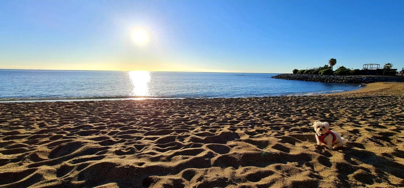 Apartamentos Magic Benalbeach By Benalnova Benalmádena Esterno foto